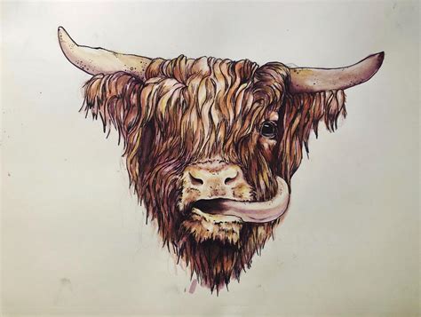 Highland Cow Drawing Tutorial - bmp-minkus