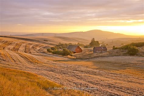 "Harvest Sunset Over the Palouse Hills"