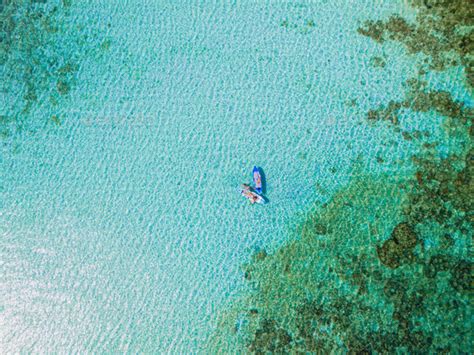 woman at peddle board sup at Koh Kradan a tropical island in Thailand Stock Photo by fokkebok