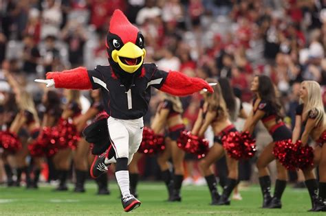 Arizona Cardinals' Big Red Ranks Among Favorite NFL Mascots | Phoenix ...