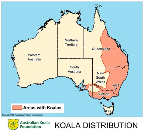 Distribution - Australian Koala Foundation