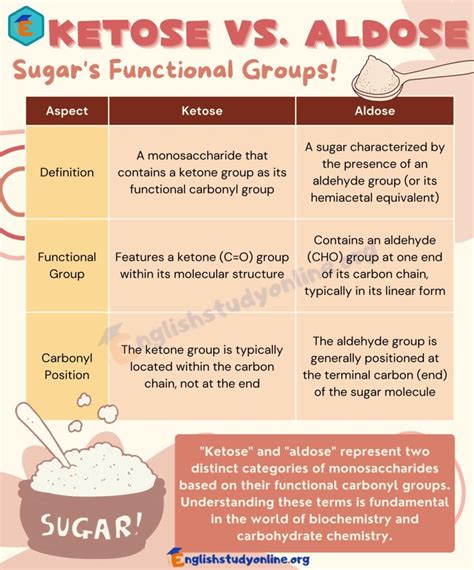 Ketose vs. Aldose: Which Sugar is Better for You? - English Study Online