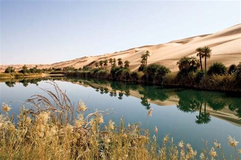 Oasis | Desert Oasis, Arid Climate & Water Sources | Britannica