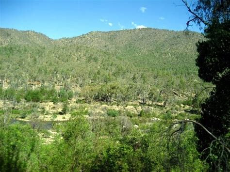 Snowy River National Park (Victoria) - 2018 All You Need to Know Before You Go (with Photos ...