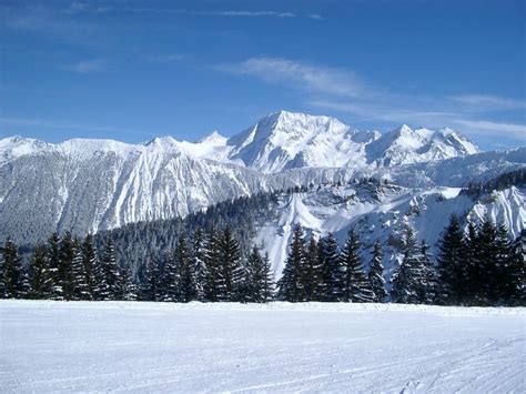 Free Stock photo of Huge Mountains and Fir Trees on Winter ...