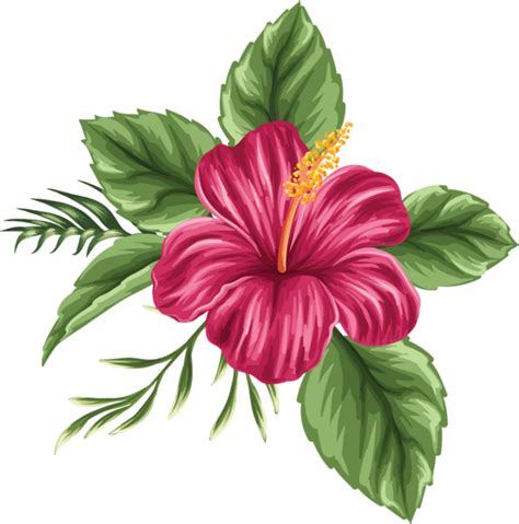 Hibiscus flower drawing, Flower drawing, Flower painting