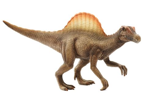 Facts About the Spinosaurus That'll Make Your Head Spin - Animal Sake