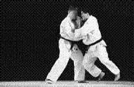 The popular Judo GIFs everyone's sharing