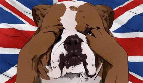 Worried British Bulldog for The Sunday Times Business on Behance