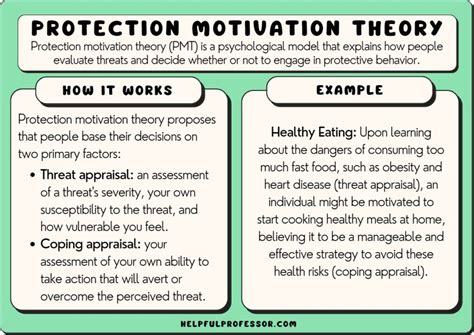 Protection Motivation Theory: Definition and Examples (2024)