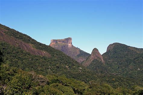 Top 10 Things To Do in Rio de Janeiro — Rainforest Cruises