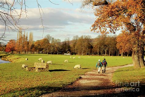 Ramblers Walking In National Park Photograph by Omran Husain - Fine Art America