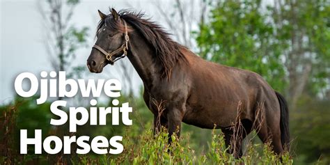 Ojibwe Spirit Horses — Know Indigenous History