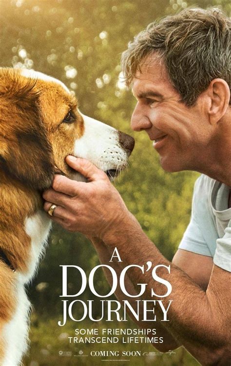 A Dog's Journey (2019) Pictures, Trailer, Reviews, News, DVD and Soundtrack