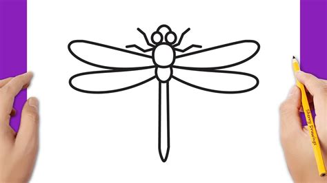 How to draw a dragonfly - YouTube