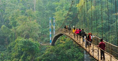 You Need Govt's Permission To Visit Meghalaya Even After Lockdown Ends | Curly Tales