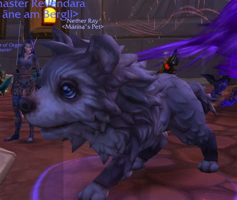 Which Hunterpet is this ? Its insanely cute : r/wow