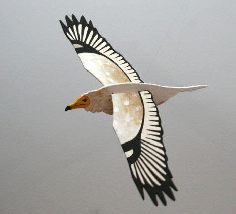 IMG_6417 Awesome Woodworking Ideas, Cool Woodworking Projects, Flying Toys, Birds Flying, Bird ...
