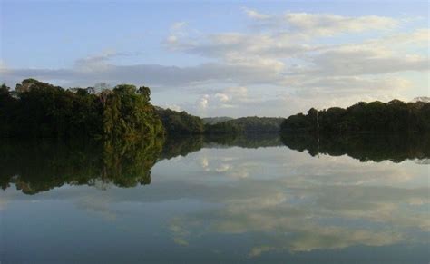 Gatun Lake - Alchetron, The Free Social Encyclopedia