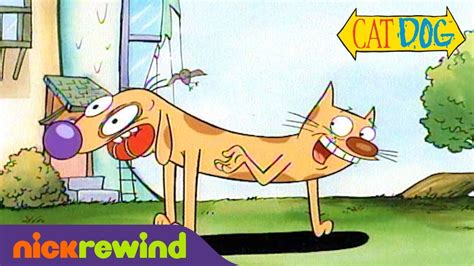 A Cat Dog Cartoon