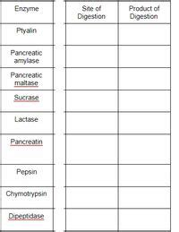 Answered: Enzyme Site of Product of Digestion… | bartleby