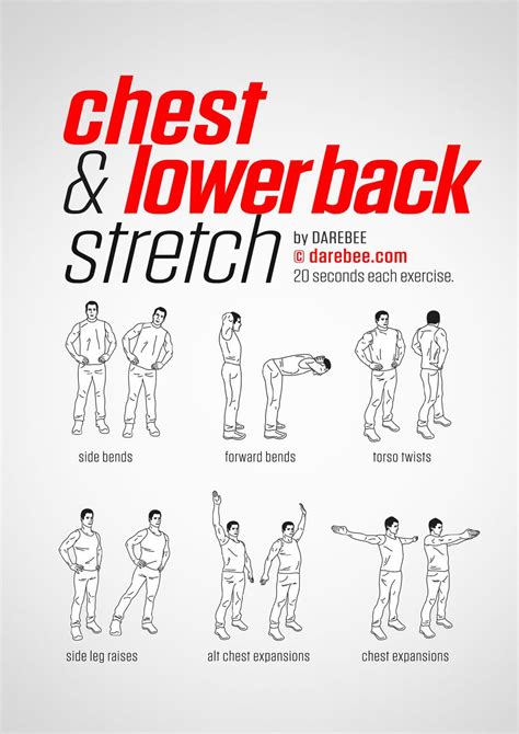 Chest & Lower Back Workout | Exercise, Lower back exercises, Workout routine