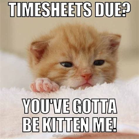 25 Funny Timesheet Memes And Reminders For The Forgetful