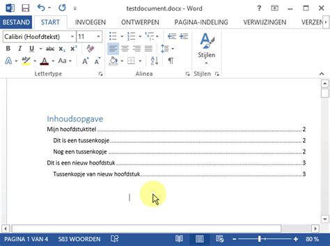 Automatische inhoudsopgave maken met Word
