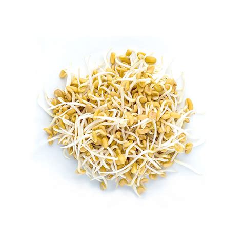 Fenugreek Seeds - Sprouts In A Jar