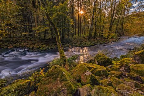 Nationalpark Bavarian Forest on Behance