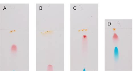 Practical chromatography | CPD | RSC Education