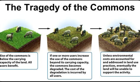 Tragedy of the Commons | Sustainable Environment Online | The tragedy ...