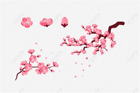 Blossoms Vector PNG Images With Transparent Background | Free Download On Lovepik