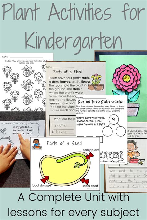 Plant Activities for Kindergarten | Plant activities, Stem activities ...