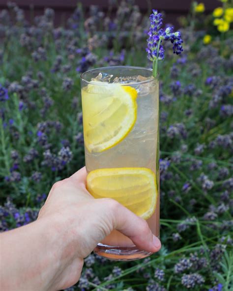 Rye Lavender Lemonade Whiskey Cocktail – Crater Lake Spirits