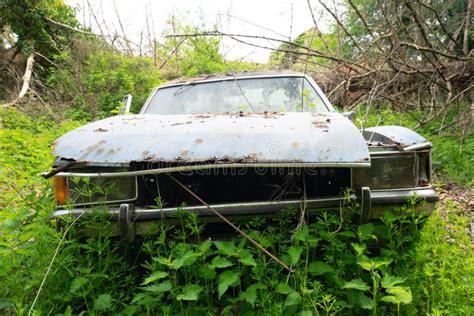 Old Abandoned Ford Cars Dumped in the Forest Somewhere in Belgium. 01 ...