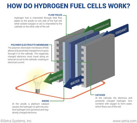 What is a Hydrogen Fuel Cell?