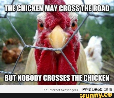 #funnymeme #funny #memes #meme #funnymemes - THE CHICKEN MAY CROSS THE ...