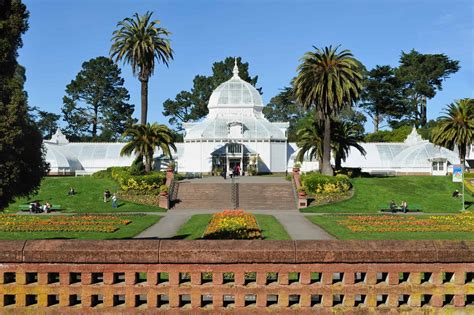 Guide to Golden Gate Park in San Francisco for Families - Trekaroo Family Travel Blog