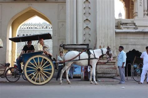 The vanishing culture and traditions of Lucknow | Café Dissensus