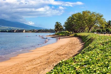 8 Best Beaches in Kihei (and the Surrounding Area!)