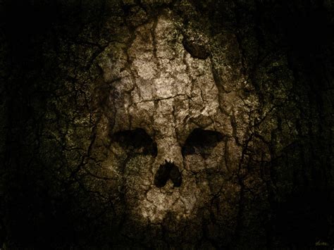 Skull Art Wallpapers - Wallpaper Cave