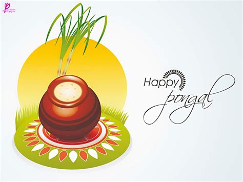 Pongal Background Wallpaper 12310 - Baltana