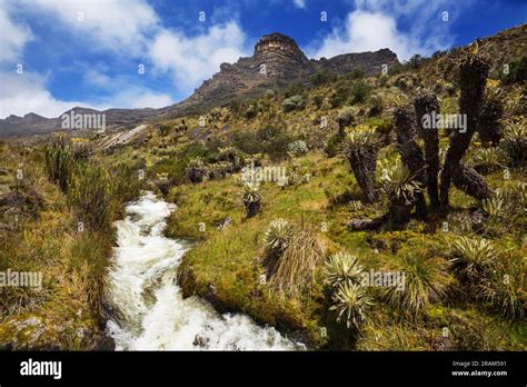 Beautiful view of El Cocuy National Park , Colombia, South America Stock Photo - Alamy