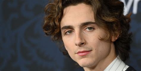 Timothée Chalamet’s New Facial Hair And Goatee