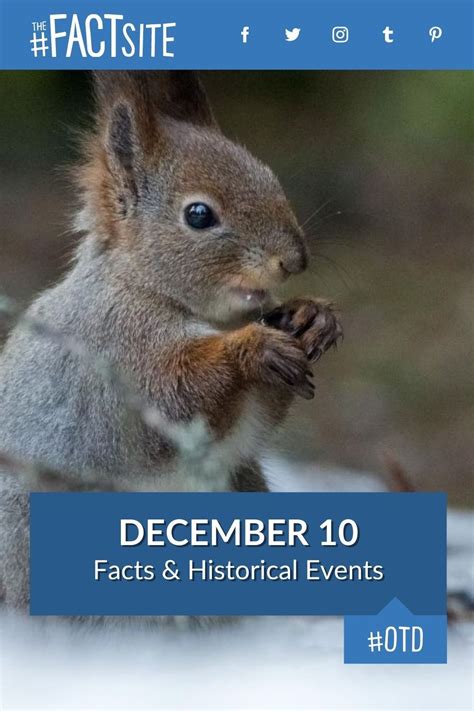 December 10: Facts & Historical Events On This Day - The Fact Site