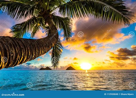 Lanikai Beach Sunrise stock photo. Image of hawaiian - 112930848