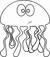 Jellyfish Coloring Pages  Wecoloringpagecom sketch template