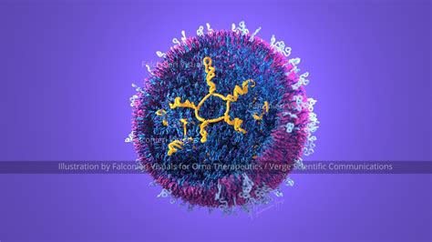 Lipid Nanoparticle - Falconieri Visuals LLC