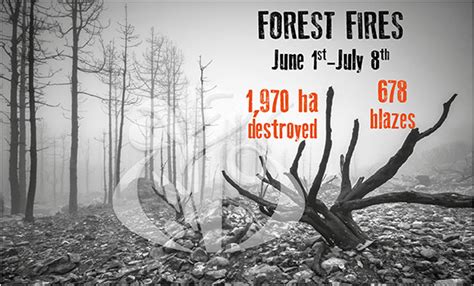 National Fight Prevention Campaign: 1,970 ha of forests destroyed in 678 blazes